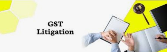 Litigation & Representation